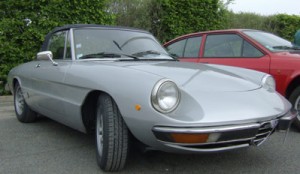 alfa spider