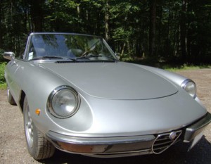 alfa spider